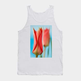 Tulipa linifolia  Flax-leaved tulip  Miscellaneous tulip Tank Top